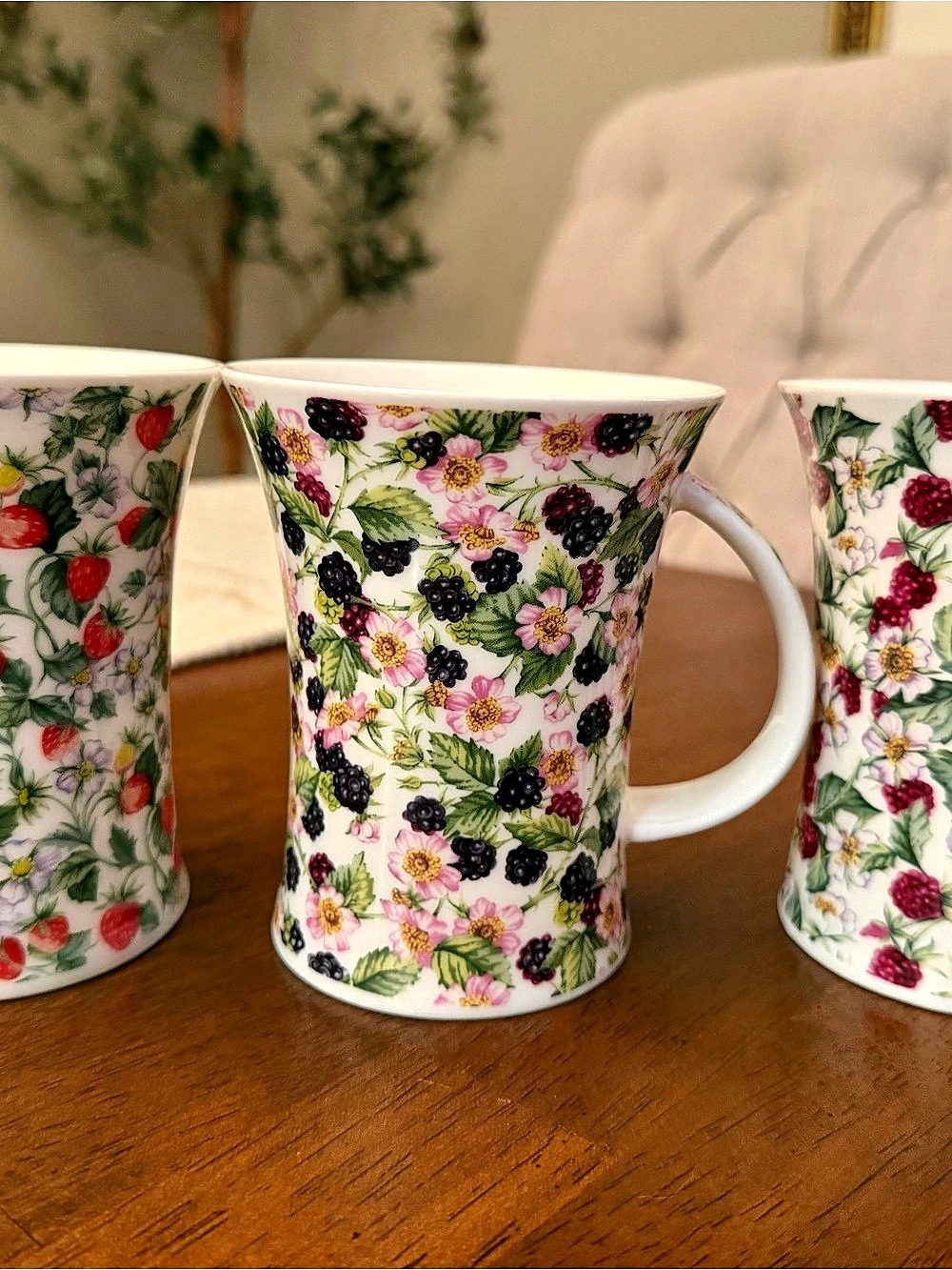 Dunoon Wild Berries by Aileen Mary Set of 3 Berry Pattern Mugs in White & Red